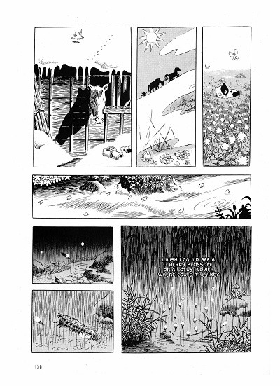 tono-imm-3