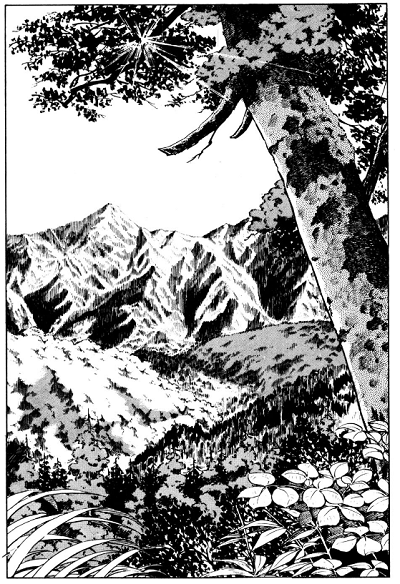 tono-imm-4